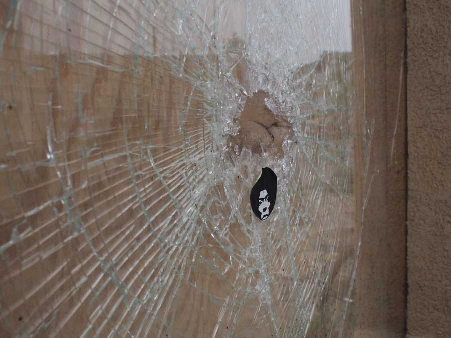 Belly Button Busted Window
