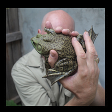 New Pond Frog