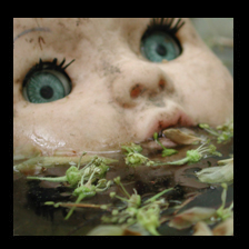 doll01