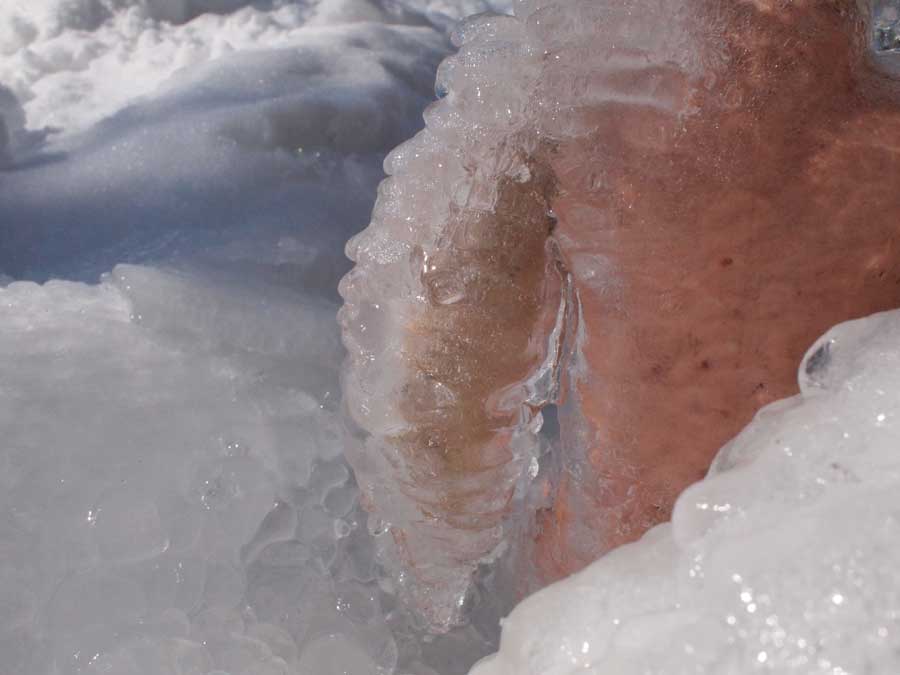 Frozen Doll