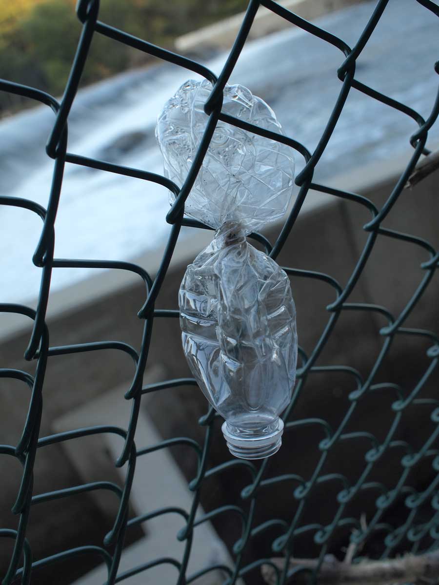 Frozen Doll