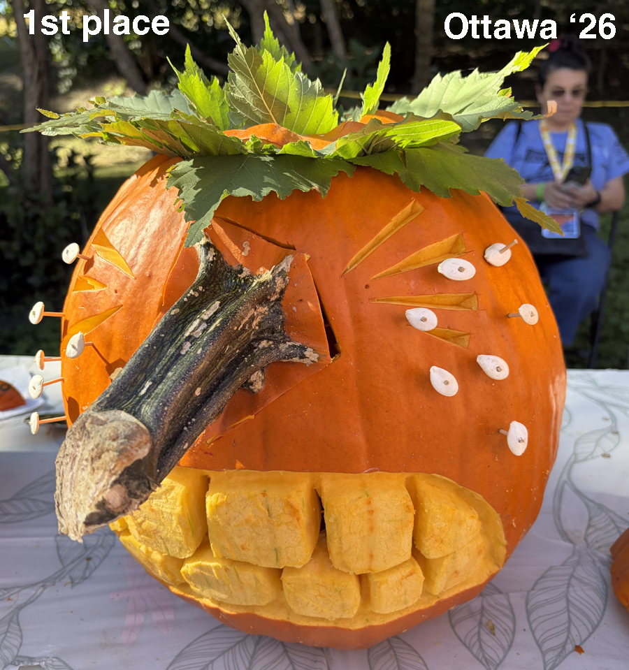 Ottawa25