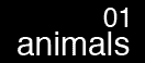 animals01