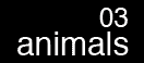 animals03