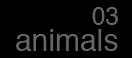 animals03